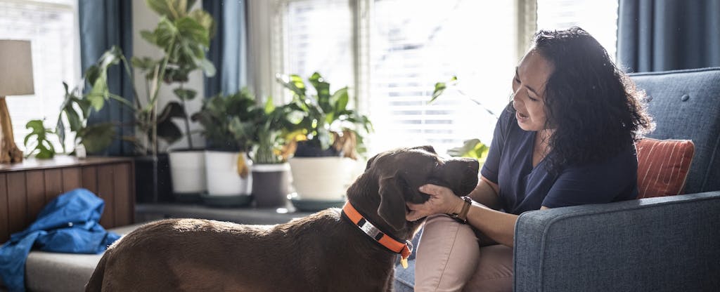 Woman playing with her dog in living room